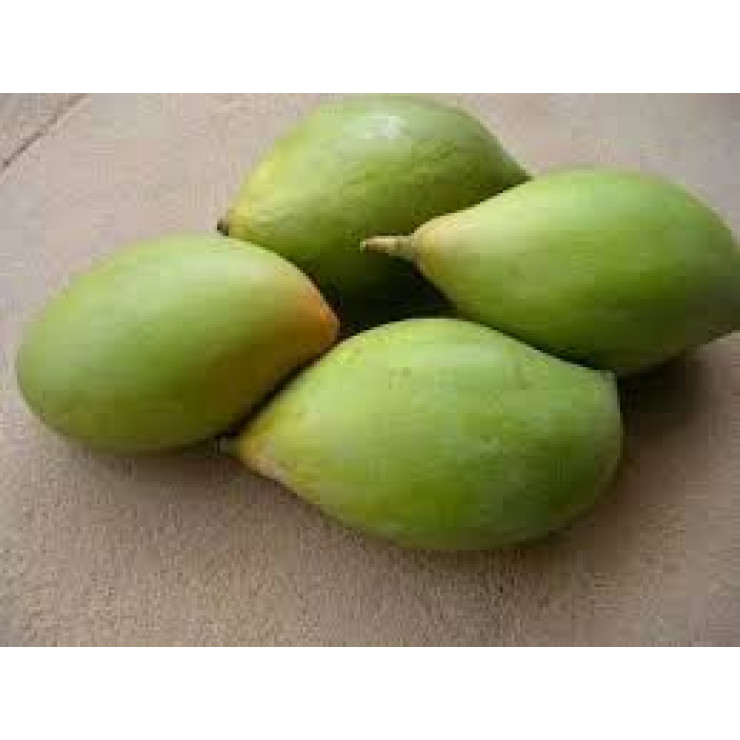 Mango - Salem / മാങ്ങ - 500gm